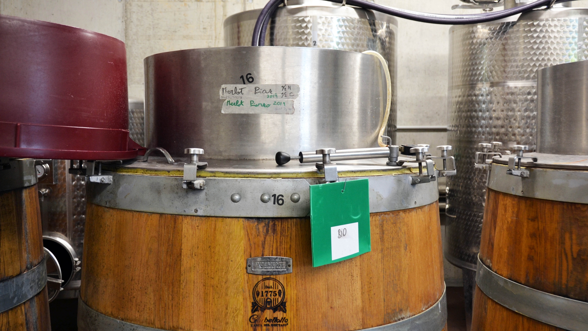 Il vino biologico dell'azienda Bianchi