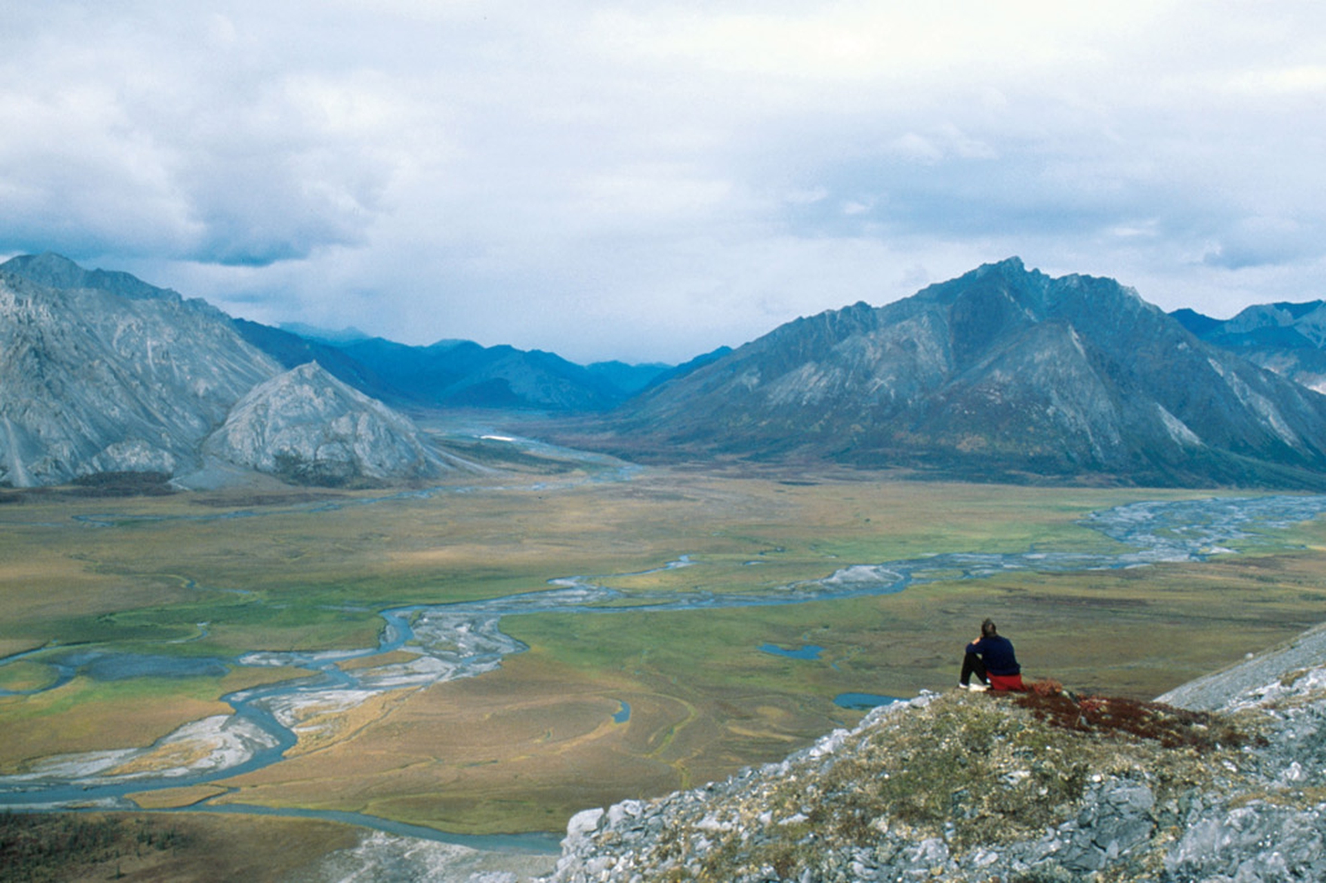 Arctic national wildlife refuge