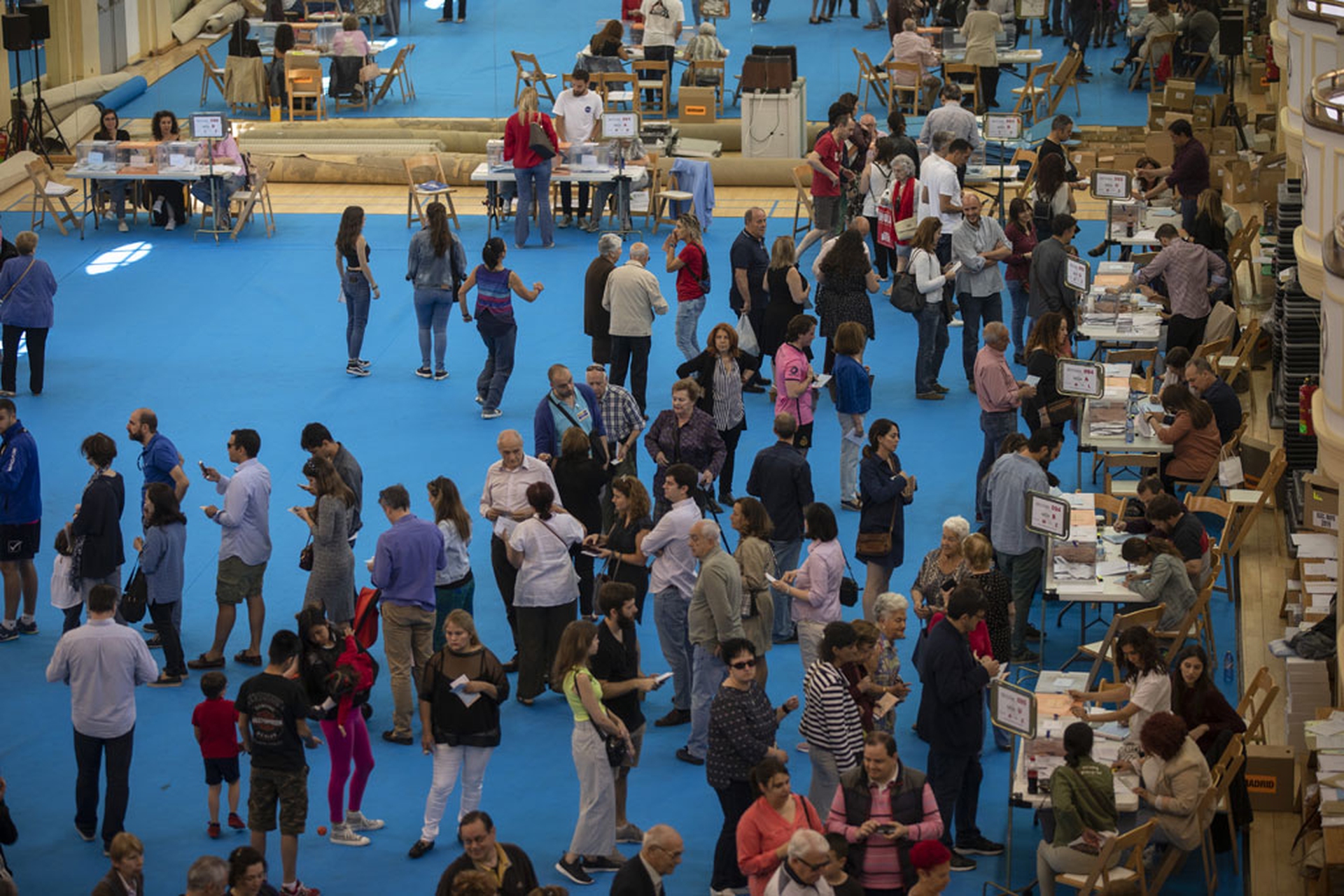 European elections 2019, the results of the vote for the European Parliament