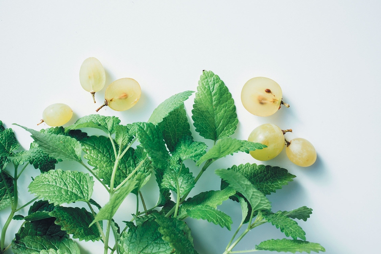 melissa per dormire bene