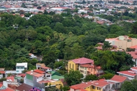 In Costa Rica c’è un distretto dove impollinatori e piante sono di casa
