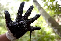 Peru, yet another oil spill is putting the Amazon at risk