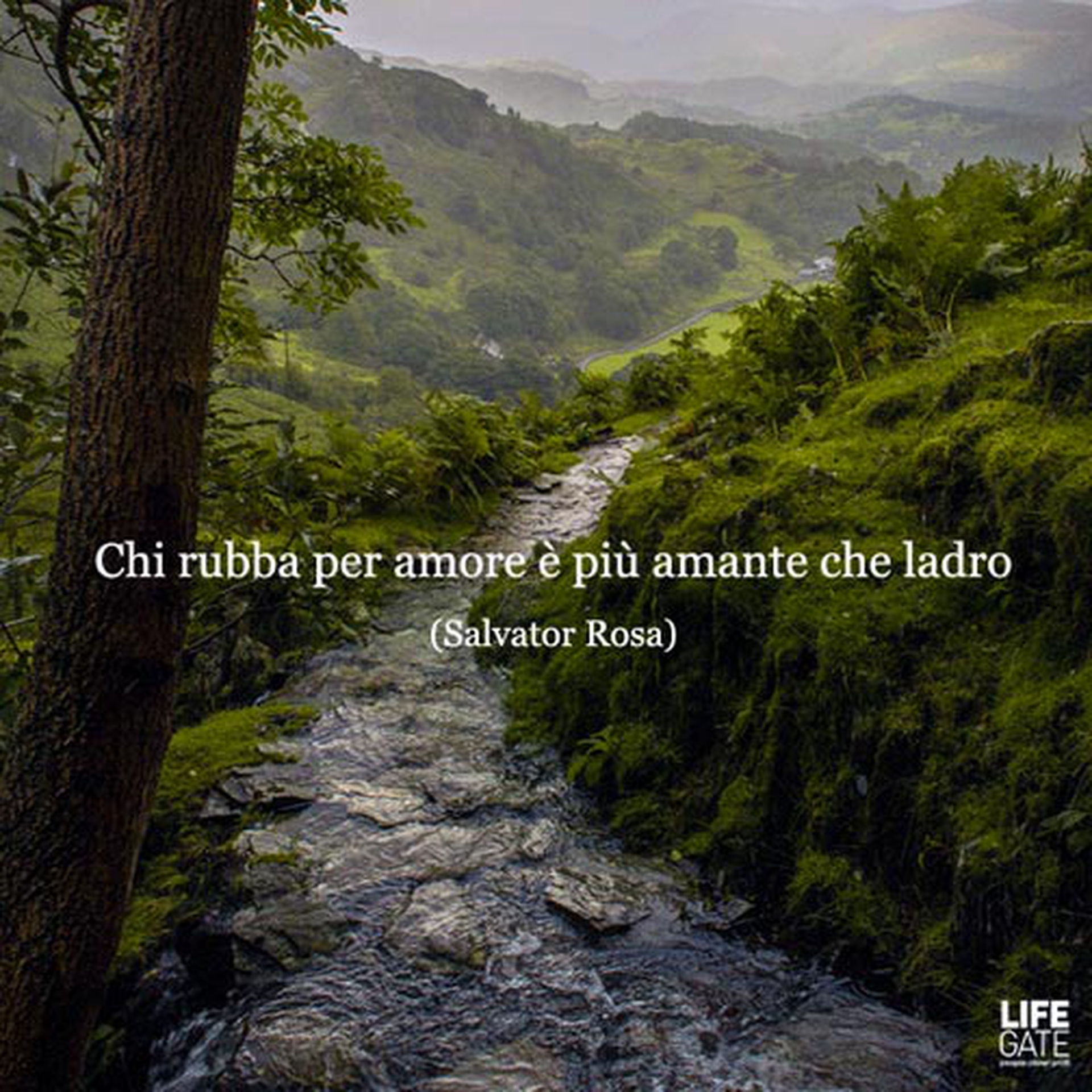 Le citazioni più belle per sempre - Salvador Rosa