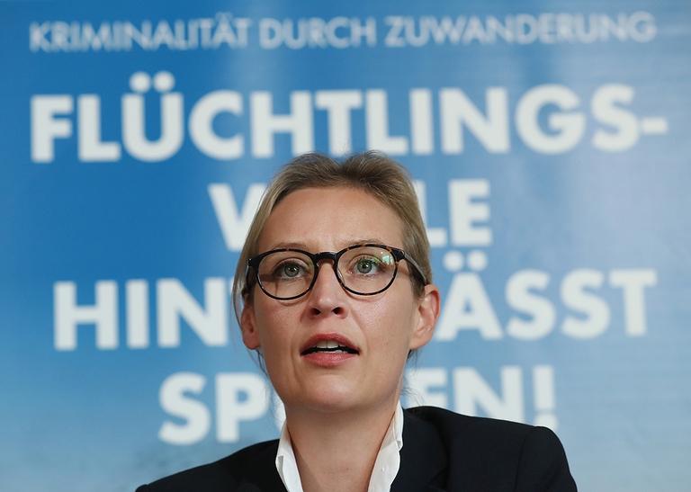 Alice Weidel afd