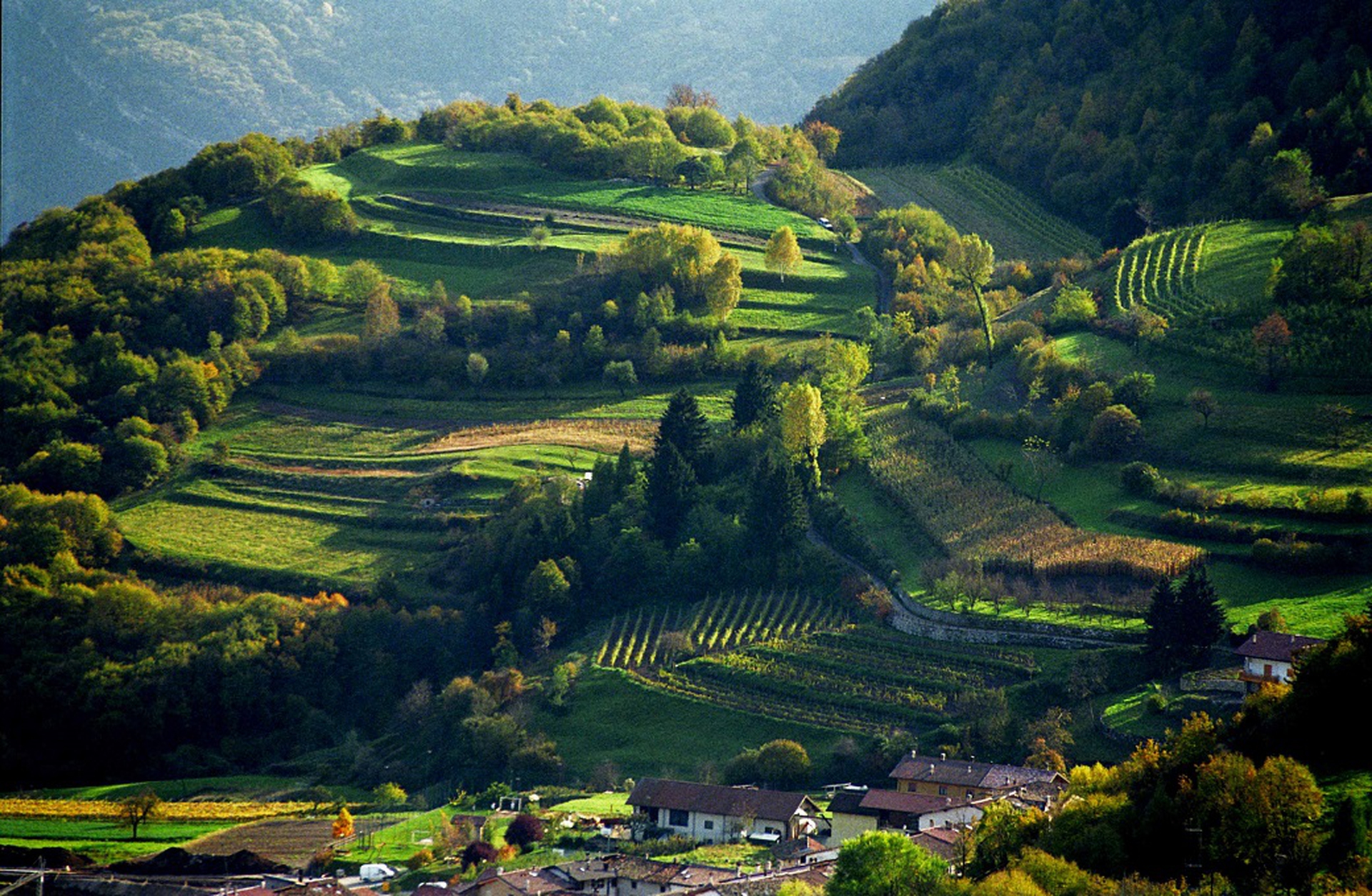 Val di Gresta, il panorama