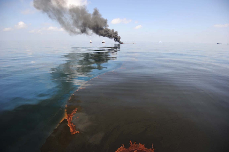 bp oil spill