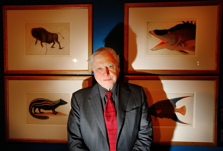Sir David Attenborough