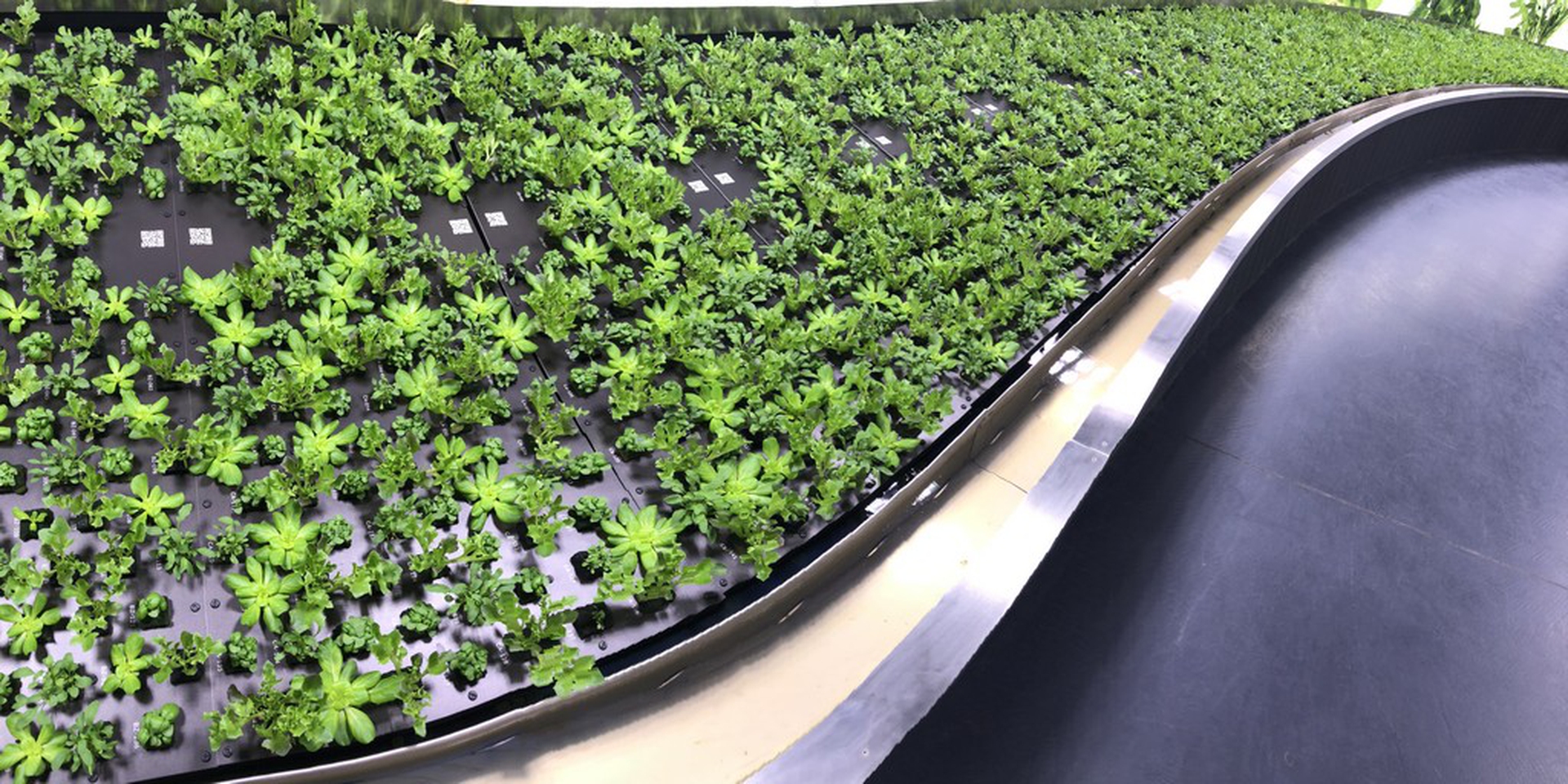 Eataly World, the mini-city dedicated to food in Bologna, Italy