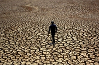 CO2 emissions make the planet greener but drier