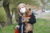 Regno Unito, al via la formazione di cani per stanare il coronavirus