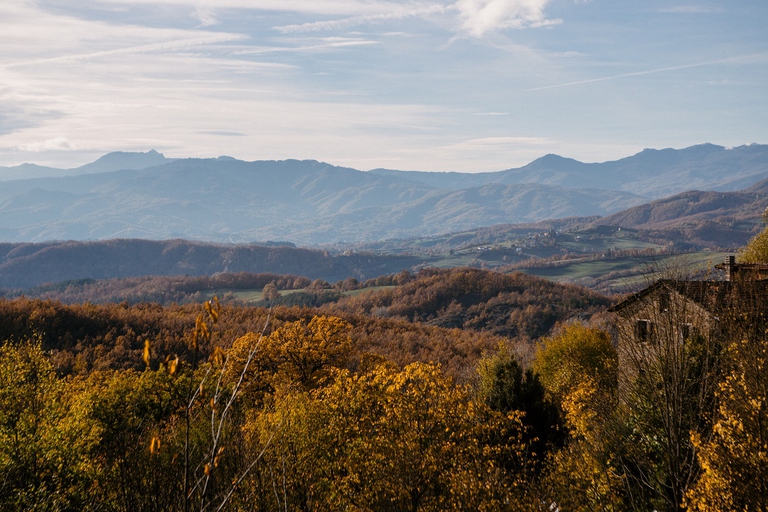Veduta dei boschi della Val di Taro