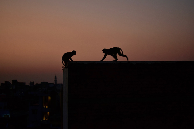 varanasi, india, gange