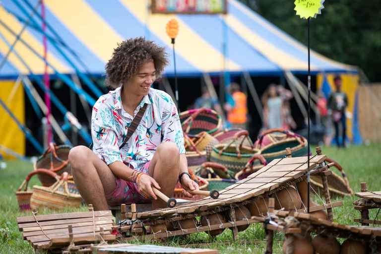 Pubblico del festival inglese di musica world Womad