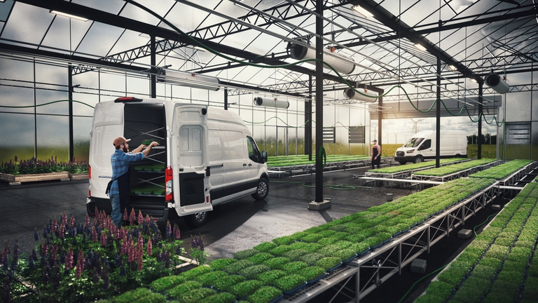 Ford, furgoni, elettrico, e-transit