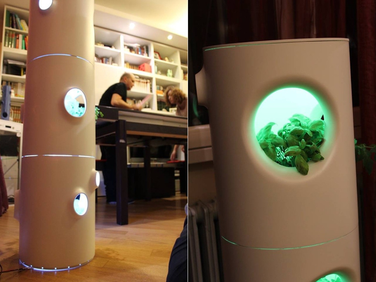 lamplants maiker faire 2016